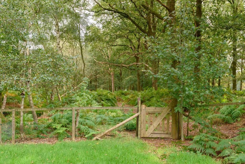 Prachtig Vrijstaand Familiehuis Op Groot Perceel Scherpenzeel  Exteriör bild