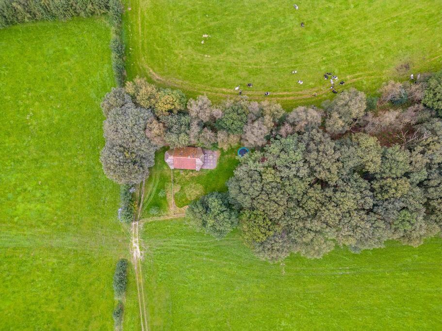 Prachtig Vrijstaand Familiehuis Op Groot Perceel Scherpenzeel  Exteriör bild