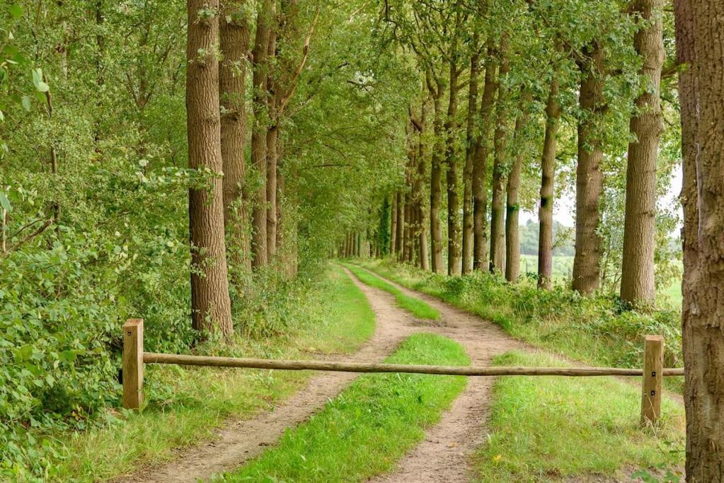 Prachtig Vrijstaand Familiehuis Op Groot Perceel Scherpenzeel  Exteriör bild